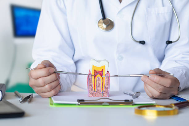 Best Emergency Dental Services for Seniors in Brewster, WA